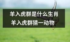 究竟是哪个动物呢？生肖羊闯进虎群的神奇之旅