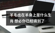 你猜得到的生肖：那些毛绒绒的羊身上的羊毛是由谁产生的？