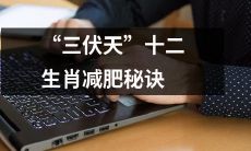 通过十二生肖运用的减肥技巧来应对酷热的三伏天