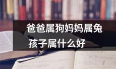 父亲与母亲生肖分别为狗和兔，那么他们的孩子应该属于哪个生肖才能获得最佳的运势呢？