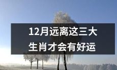 12月宜避开此三生肖以赐予好运之聚焦建议