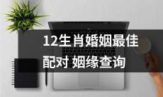 寻找你的最佳12生肖婚姻配对:充满奇遇的姻缘查询