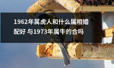 1962年属虎人应该与哪些属相的人结婚才最佳？而与1973年属牛的人结婚是否合适？