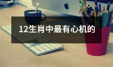 哪一个生肖在12生肖中表现得最具心机？