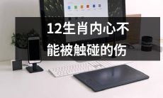 12生肖内心深处难以触及的伤痛:是什么让它们如此难以剖析?