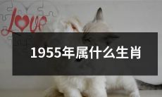 根据中国农历，1955年的人属于哪个生肖？