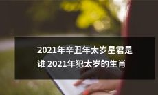 2021年辛丑年的太岁星君及受其影响的生肖有哪些？