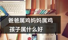 若父母同时属鸡，孩子应该属于哪个生肖？请赐教！