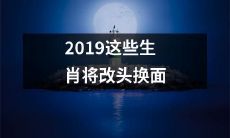 2019年，这些与生肖有关的象征将经过变革，重塑新面貌