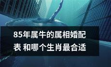 85年属牛的属相婚配表：哪些生肖最适合和牛兼容？