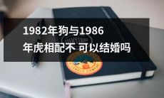 是否存在1982年出生的狗和1986年出生的虎不能成婚的限制?