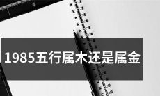 五行学说的基础——探究1985年出生人的五行属性:木还是金?