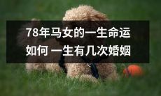探究78年出生的女性的人生历程：婚姻经历多少次，命运又将如何转折？