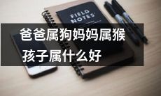 如果爸爸是狗，妈妈是猴，那么他们的孩子应该属于什么？
