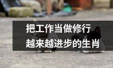 随着时间的推移，越来越多的生肖把工作视为一种修行，不断取得进步