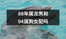 88年出生的属龙男和94年出生的属狗女之间是否适合建立恋爱关系或婚姻关系?
