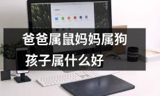 如果父亲是老鼠，母亲是狗，那么他们的孩子最适合属于哪个属相？