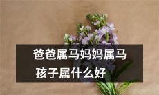 爸爸和妈妈皆为马，那么孩子的属相应该是什么才更好呢？