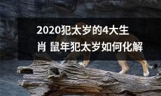 2020年，四大生肖犯太岁的状况一一揭秘，鼠年犯太岁的人如何妥善化解困境？