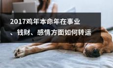 2017年鸡年本命年，事业、钱财、感情转运大揭秘