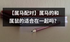 【属马和属鼠的配对】是否适合？对于属马的人而言，和属鼠的人结伴而行是否具有契合度？