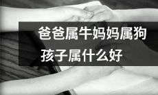 如果爸爸是牛座，妈妈是狗座，那么孩子应该属于哪个星座呢？