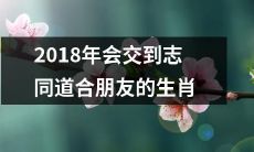 2018年将会与志同道合的朋友相遇的十二生肖