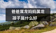 如果爸爸和妈妈都是属龙，那么孩子应该属于哪个生肖呢？