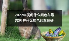 在2022年属虎的人，哪种颜色的汽车最为吉利？而开什么颜色的汽车最优选呢？