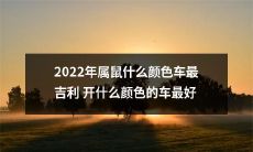 属鼠2022年驾车宜忌详解：何种颜色汽车最吉利？哪种车色最佳驾驶？