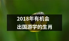 2018年出国游学机会丰富的十二生肖