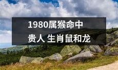 1980年出生的属猴人，将有幸得到生肖鼠和生肖龙的贵人相助之机遇！