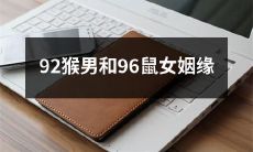 从破镜重圆到天长地久：探究92猴男和96鼠女不可思议的命运共同体及其异常坚定的姻缘关系