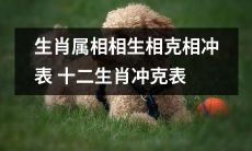 探究生肖属相之间的相生、相克、相冲关系——详细解读十二生肖冲克表
