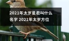 2021年太岁星君的名称以及其在十二生肖中的方位是什么？