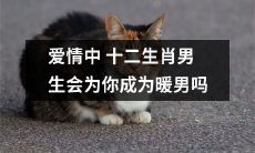 询问十二生肖男性在爱情中是否有成为暖男的潜质