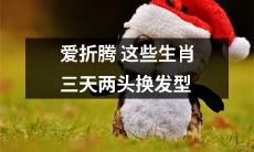 这几个生肖特别喜欢折腾发型，不时更换造型试试看