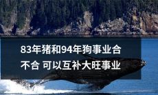 83年猪和94年狗的事业是否具备互补性，能否促进大旺事业的发展？