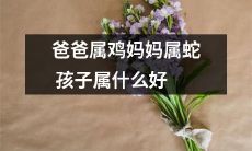 爸爸生肖属鸡,妈妈生肖属蛇,那么孩子应该属于什么生肖呢,父母应该如何预测孩子的生肖,选取什么样的生肖更有利于孩子的命运发展?