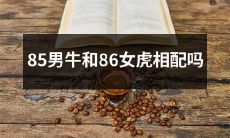 85年出生的男性牛和86年出生的女性虎是否适合匹配?