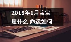 预测：2018年1月出生的宝宝会有怎样的命运和运势？