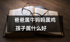 如果父亲是牛座、母亲是鸡座，那么他们的孩子属于哪个星座最好呢？