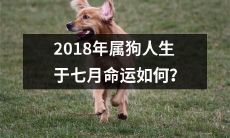 2018年七月出生的属狗人能否在命运中获得成功？