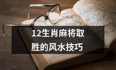 学习12生肖麻将风水技巧，提高赢取胜利的概率