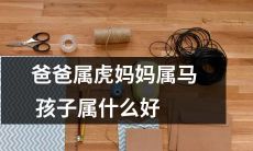 经过基因遗传，父亲是虎子，母亲是马儿，那么他们孩子将会是哪个属相呢？华丽变身，揭晓属相综合线索！