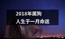 如何预测2018年出生在一月的属狗人的命运？
