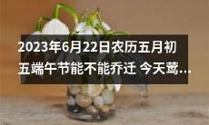 2023年端午节当天，是否适合进行乔迁，择吉莺迁为吉利之选？