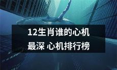 探索12生肖谁的心机最深：揭秘心机排行榜