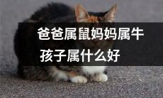 如果父亲是属鼠，母亲是属牛，那么他们的孩子将属于哪个生肖呢？