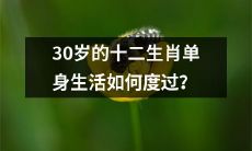 如何让处于30岁单身状态下的每一个十二生肖面对生活挑战并不断前行呢？
